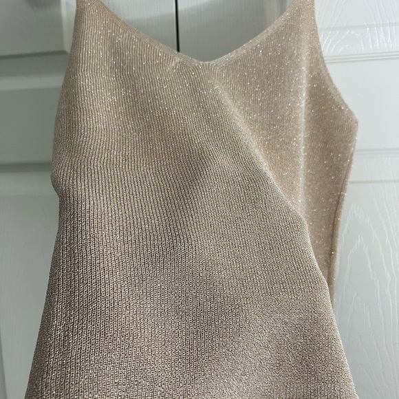 Elegant Shimmery Tan Knit Women's Top - Picture 4 of 5